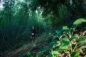 BIB: 
                            <button type="button" onclick="openModal(28124911)" class="btn btn-primary btn-sm float-right btn-popup" data-toggle="modal" data-target=".modal-high-quality">
                        <i class="fas fa-shopping-cart"></i> Add to Cart
                    </button>
                                            <button type="button" onclick="isThisMe(28124911, true)" class="btn btn-success btn-sm float-right btn-popup btn-isme hidden" data-toggle="tooltip" data-placement="bottom" title="นี่คือรูปของคุณใช่ไหม คลิกที่นี่เพื่อเอาเข้าอัลบั้ม">
                        <i class="fas fa-plus"></i> Add to album
                    </button>
                    <button type="button" onclick="isThisMe(28124911, false)" class="btn btn-warning btn-sm float-right btn-popup btn-isnotme hidden">
                        <i class="fas fa-ban"></i> Remove from album
                    </button>